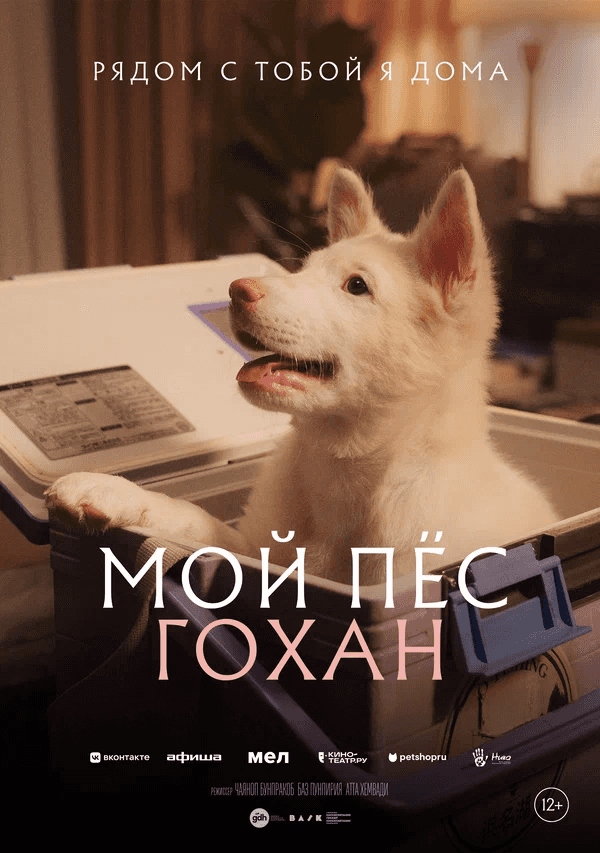 Мой пес Гохан